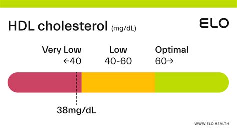 colesterol hdl 38 mg/dl